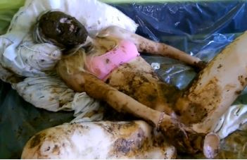 Orgasmic scat sex loving pretty blonde